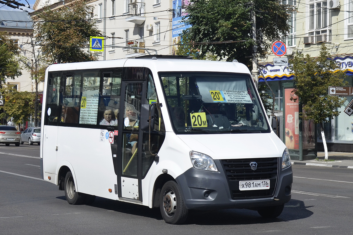 Воронежская область, ГАЗ-A64R42 Next № Х 981 АМ 136