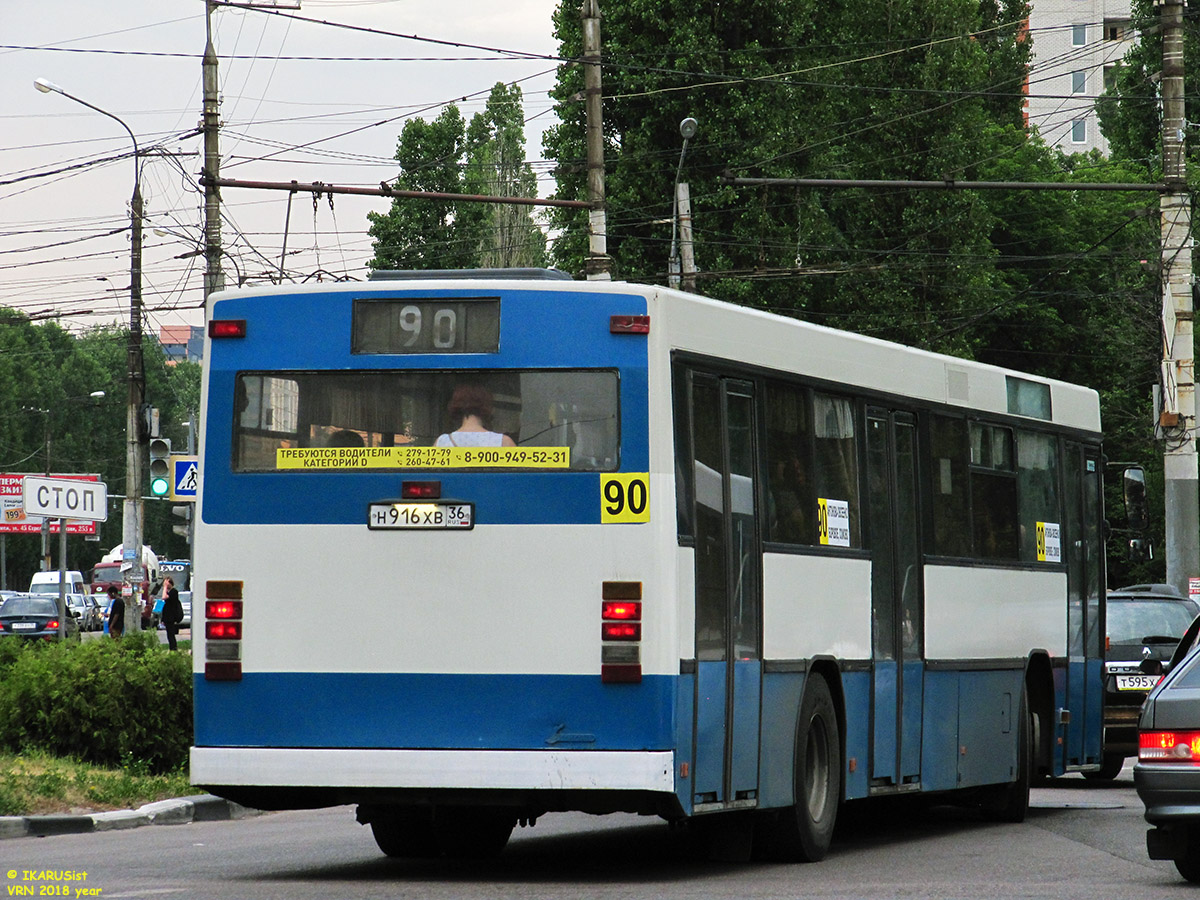 Воронежская область, Carrus K204 City № Н 916 ХВ 36