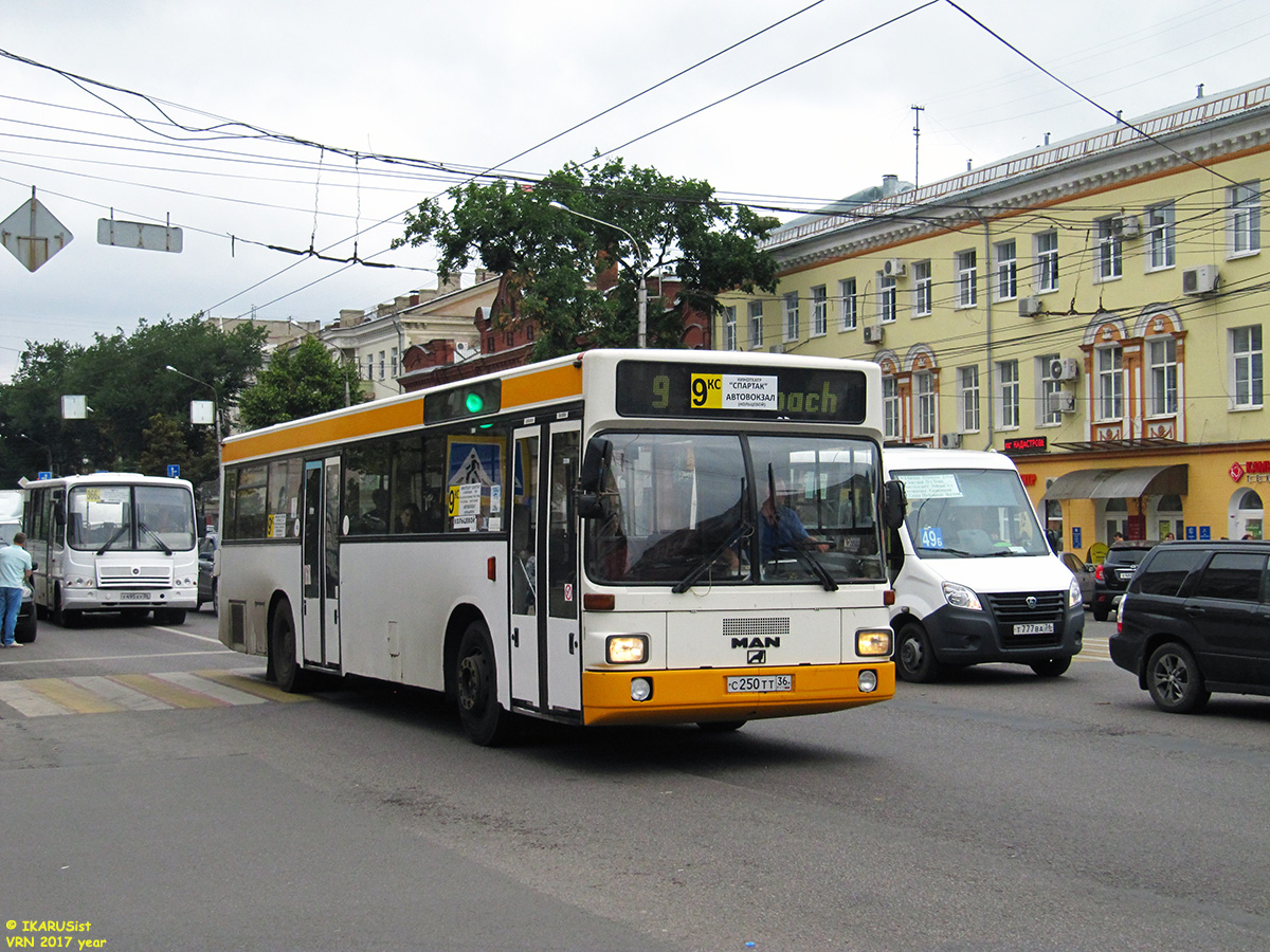 Воронежская область, MAN 791 SL202 № С 250 ТТ 36