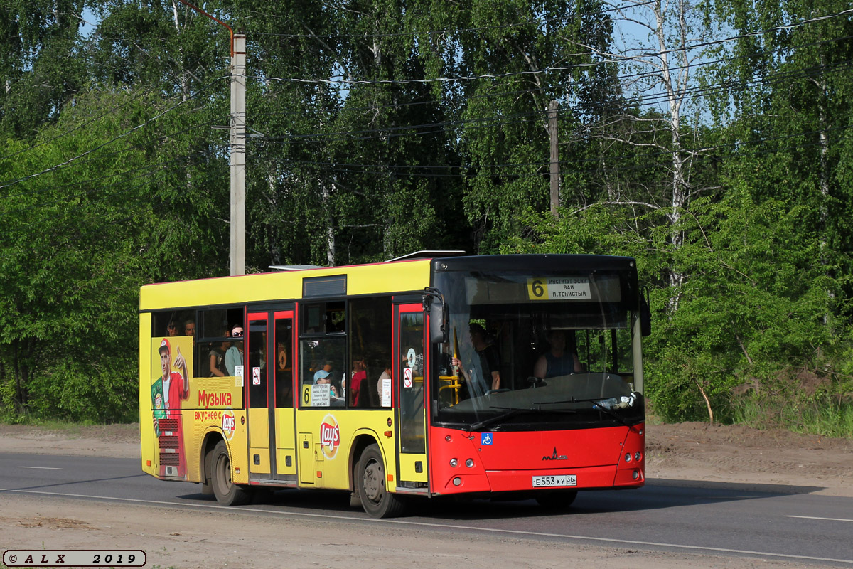 Воронежская область, МАЗ-206.067 № Е 553 ХУ 36 — Фото — Автобусный транспорт