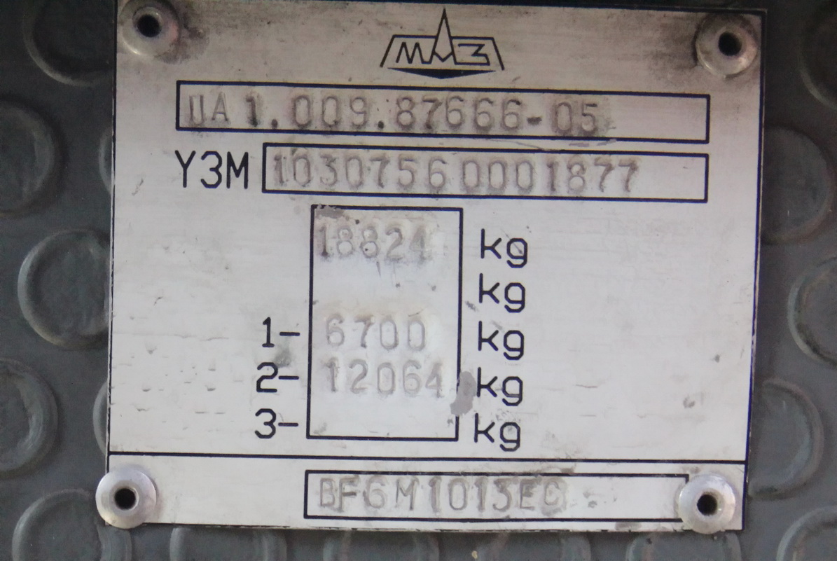 Одесская область, МАЗ-103.075 № 3110