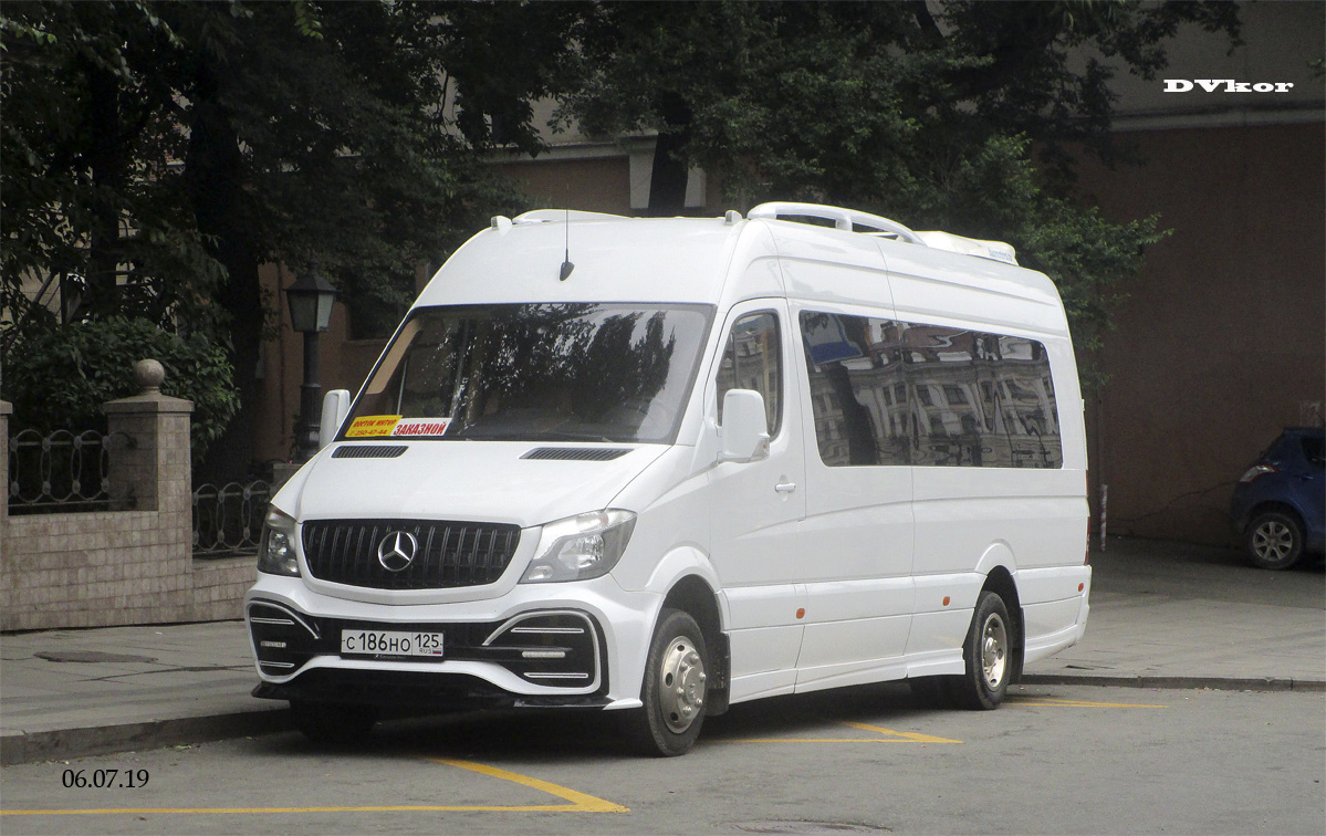 Приморский край, Луидор-22360C (MB Sprinter) № С 186 НО 125