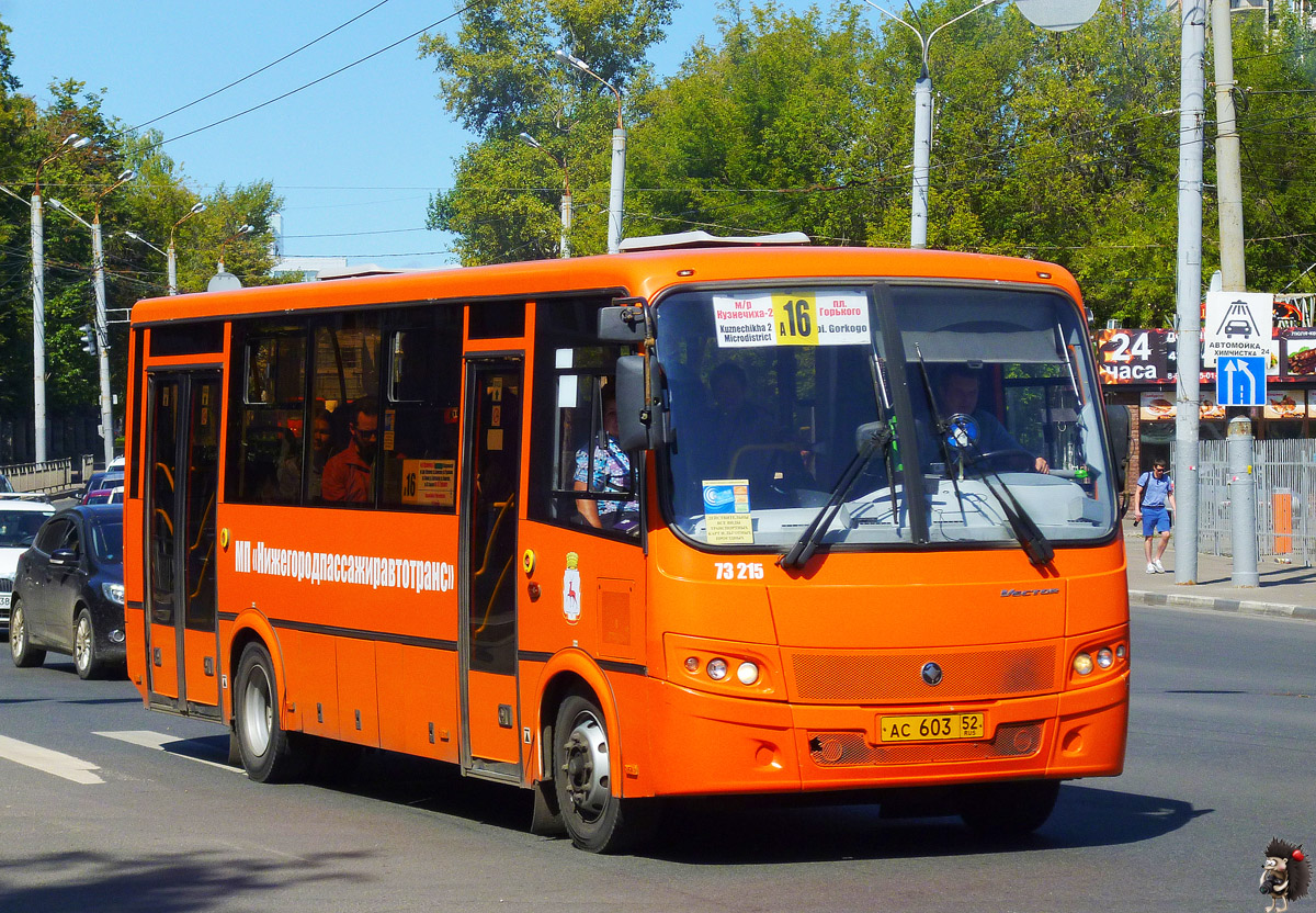 Нижегородская область, ПАЗ-320414-05 "Вектор" (1-2) № 73215