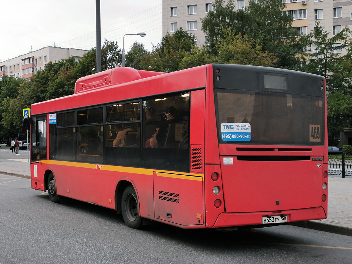 Московская область, Lotos-206 № Н 553 ТУ 750