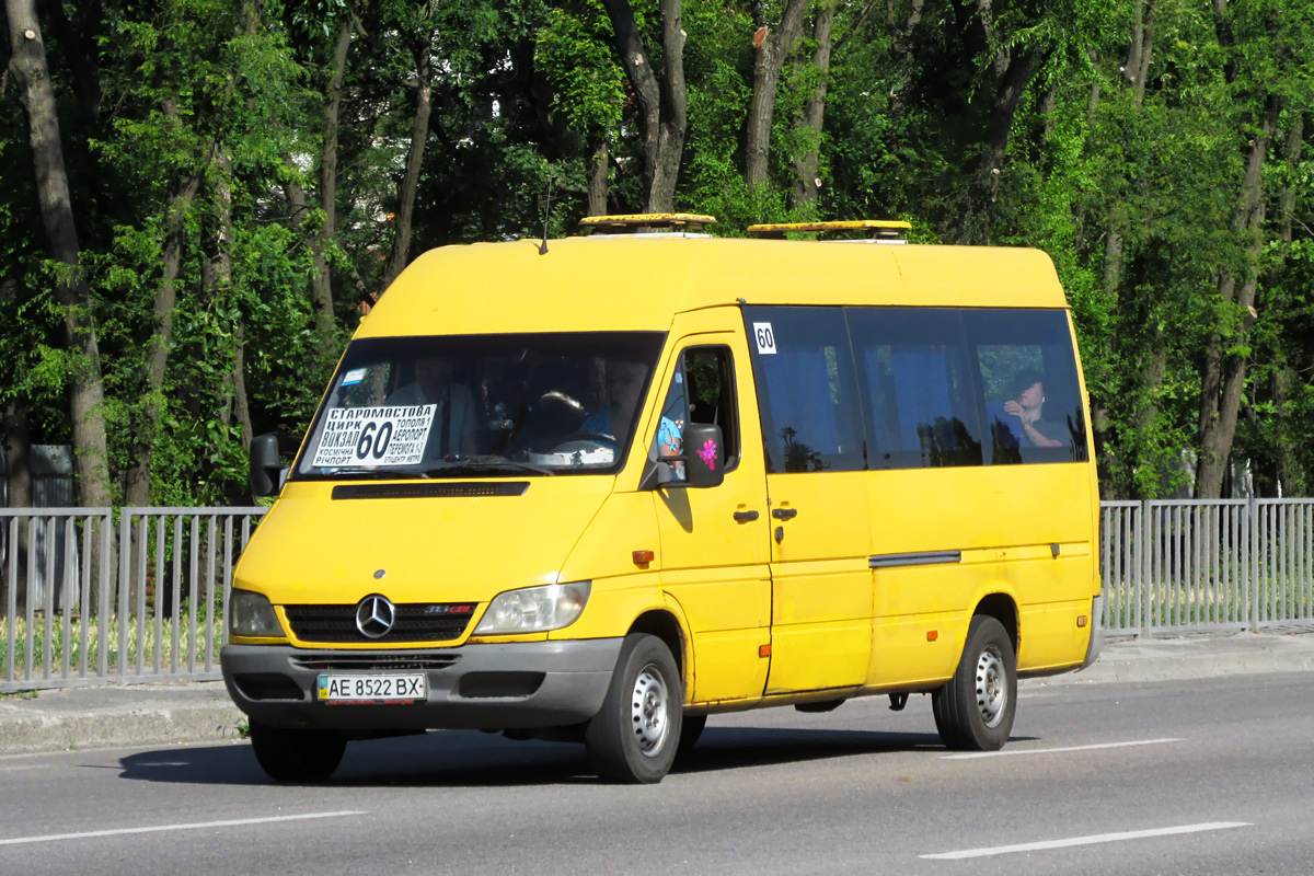 Днепропетровская область, Mercedes-Benz Sprinter W903 313CDI № AE 8522 BX