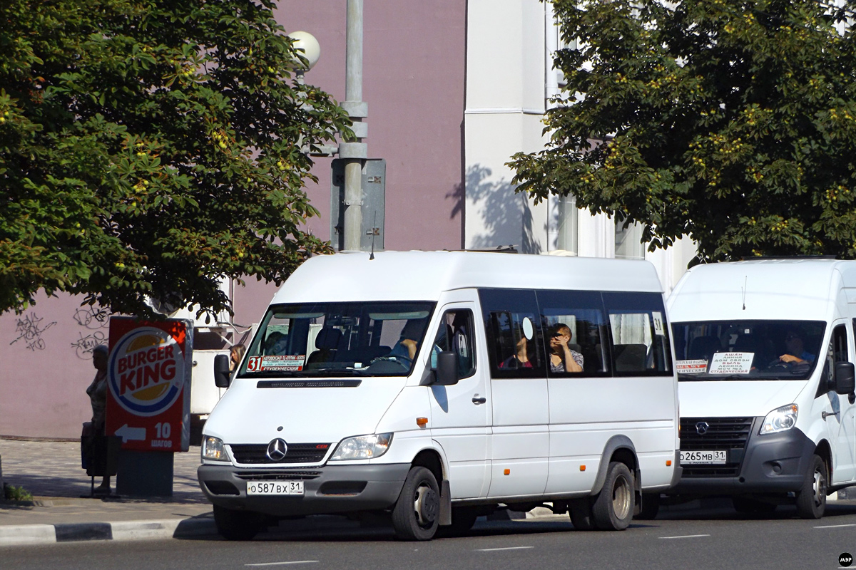 Белгородская область, Луидор-223201 (MB Sprinter Classic) № О 587 ВХ 31