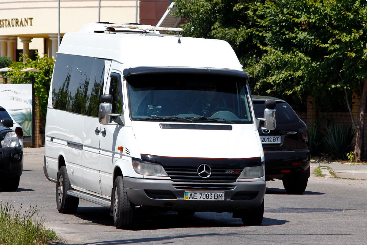 Днепропетровская область, Mercedes-Benz Sprinter W903 313CDI № AE 7083 BM