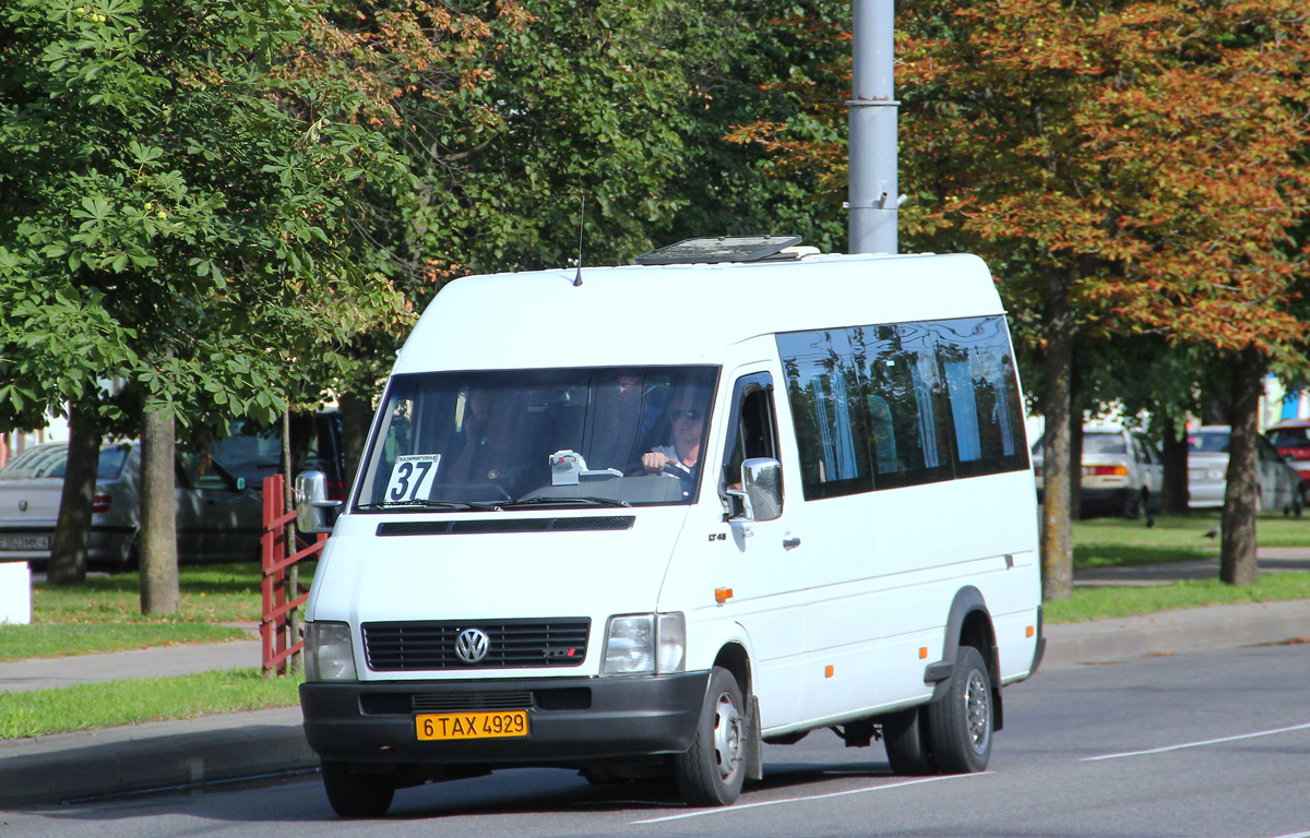 Могилёвская область, Павлио 4619 (Volkswagen LT46) № 6 ТАХ 4929