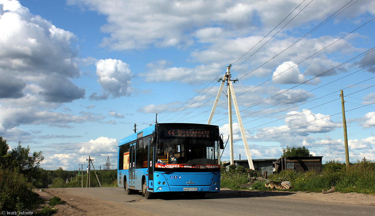 Архангельская область, МАЗ-206.086 № М 421 ТР 29