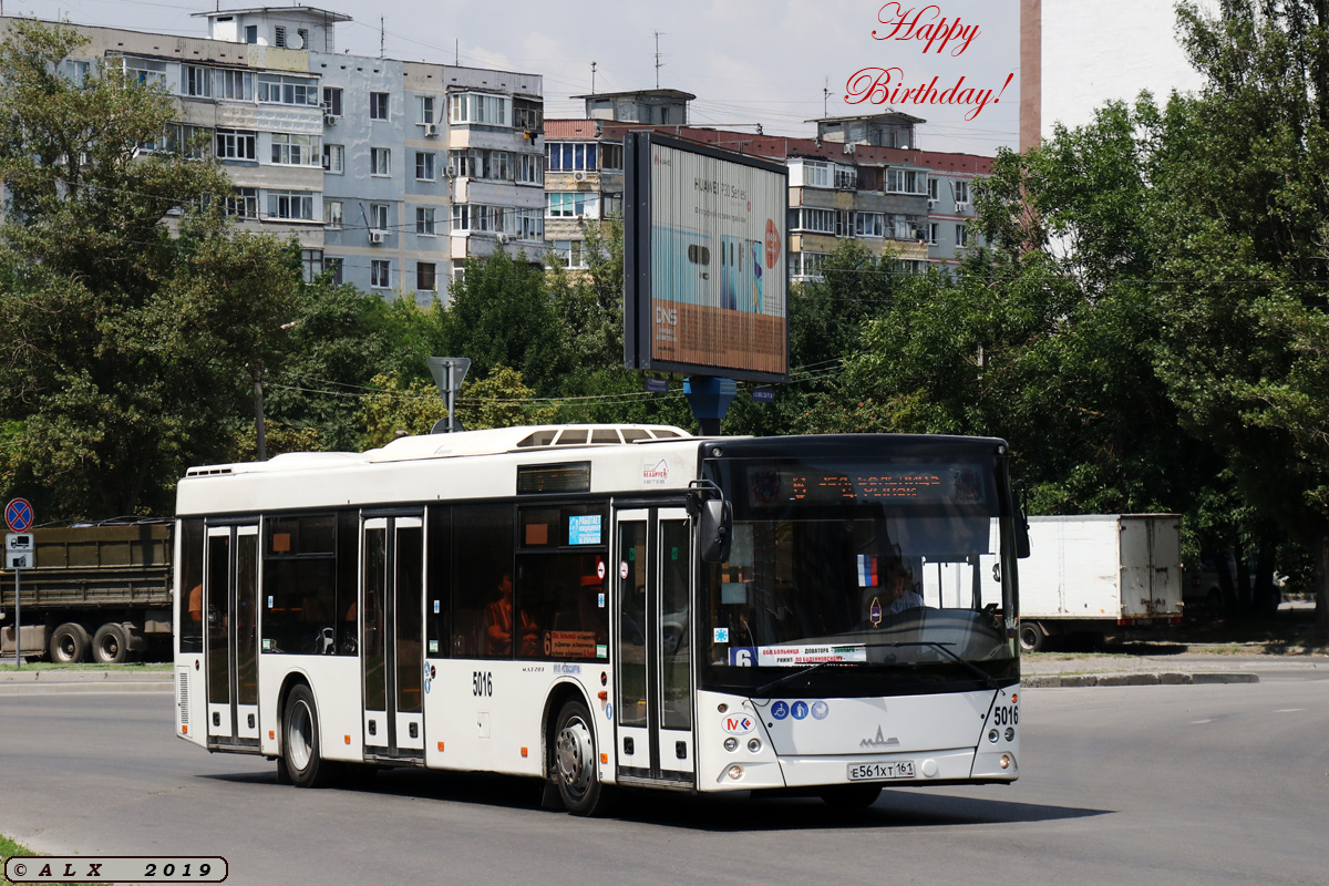 Ростовская область, МАЗ-203.069 № 5016