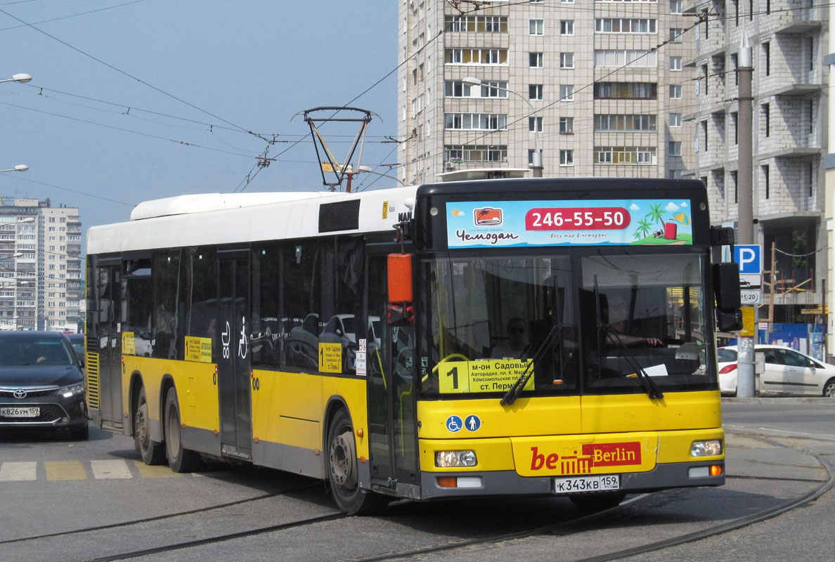 Пермский край, MAN A26 NL313-15 № К 343 КВ 159