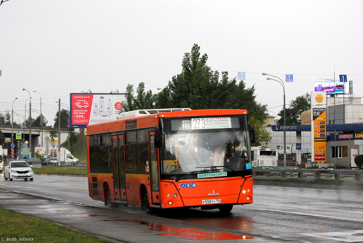 Московская область, МАЗ-206.086 № Р 558 ТУ 750