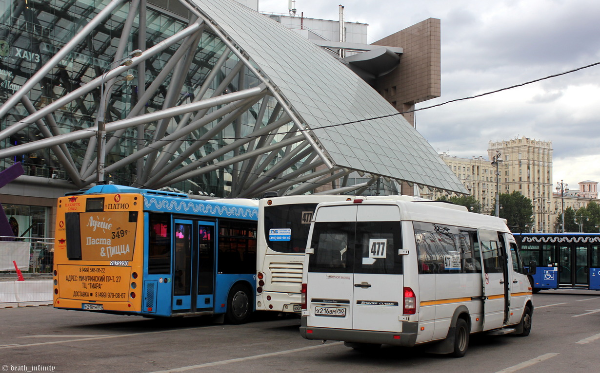 Московская область, Луидор-223237 (MB Sprinter Classic) № Х 216 ВМ 750