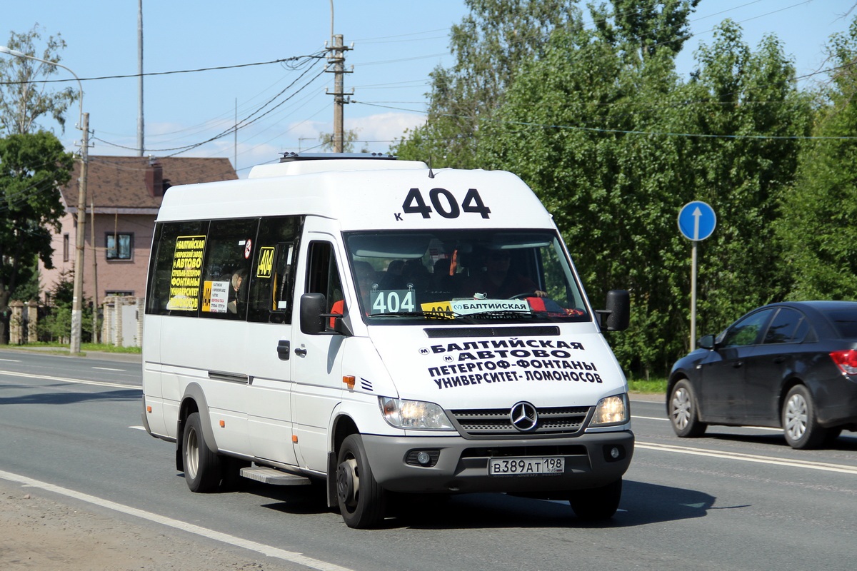 Санкт-Петербург, Луидор-223237 (MB Sprinter Classic) № 3017