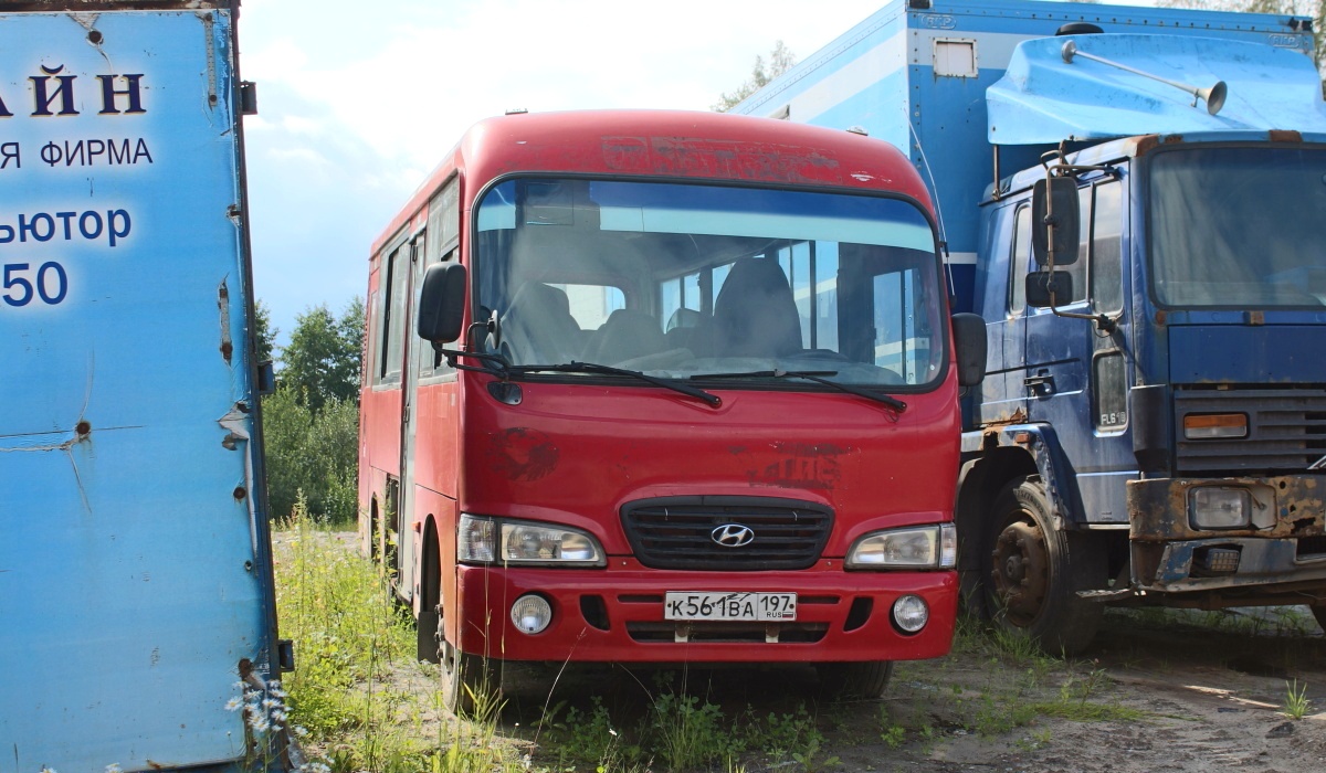 Ростовская область, Hyundai County SWB C08 (ТагАЗ) № 096