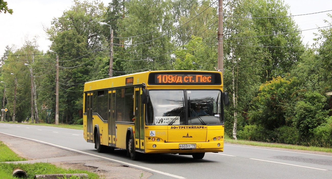 Санкт-Петербург, МАЗ-103.485 № В 603 РР 178