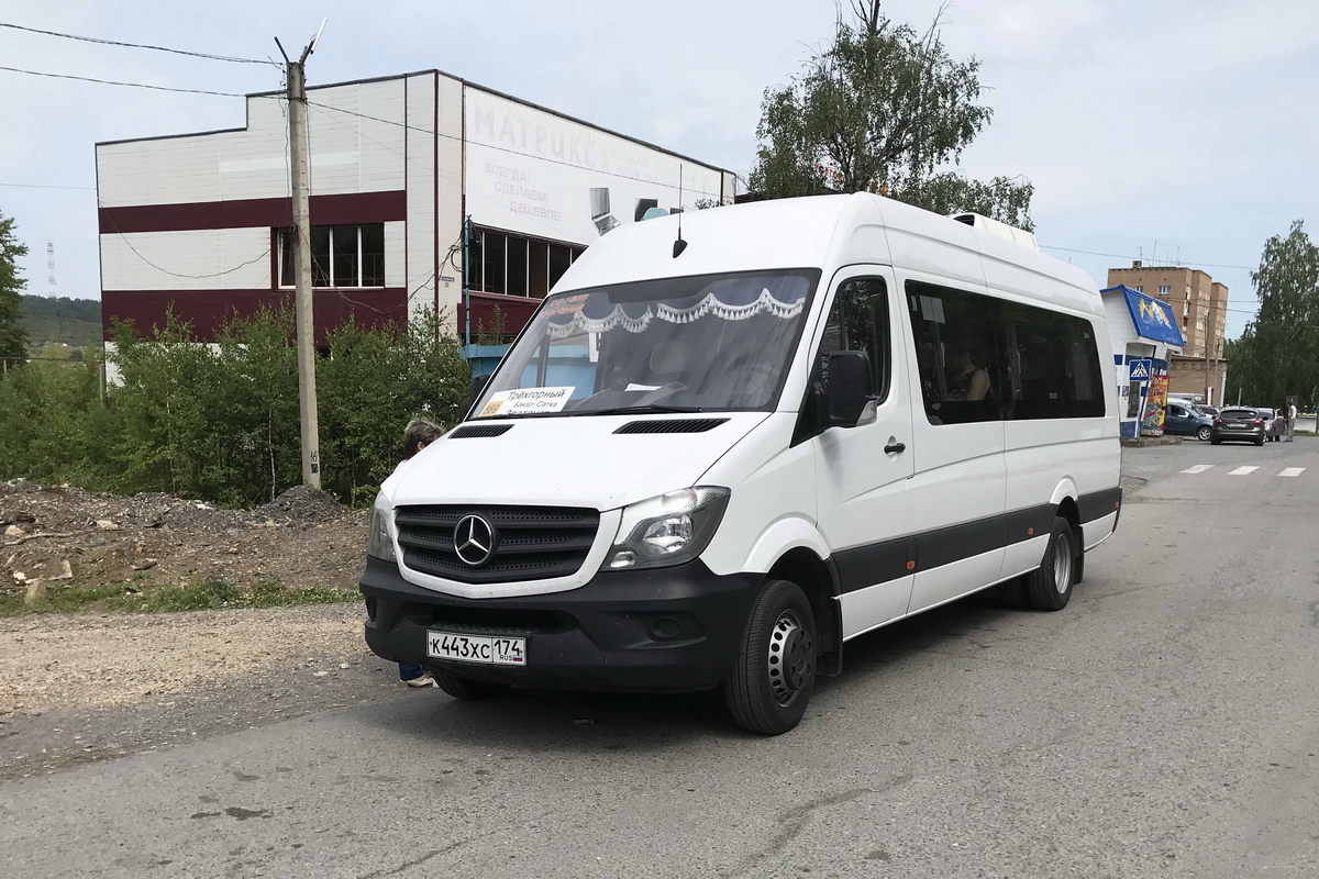 Челябинская область, Луидор-223602 (MB Sprinter) № К 443 ХС 174