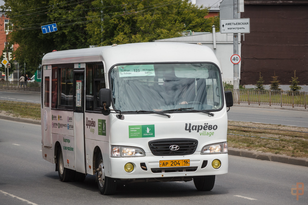 Татарстан, Hyundai County SWB C08 (РЗГА) № АР 204 16