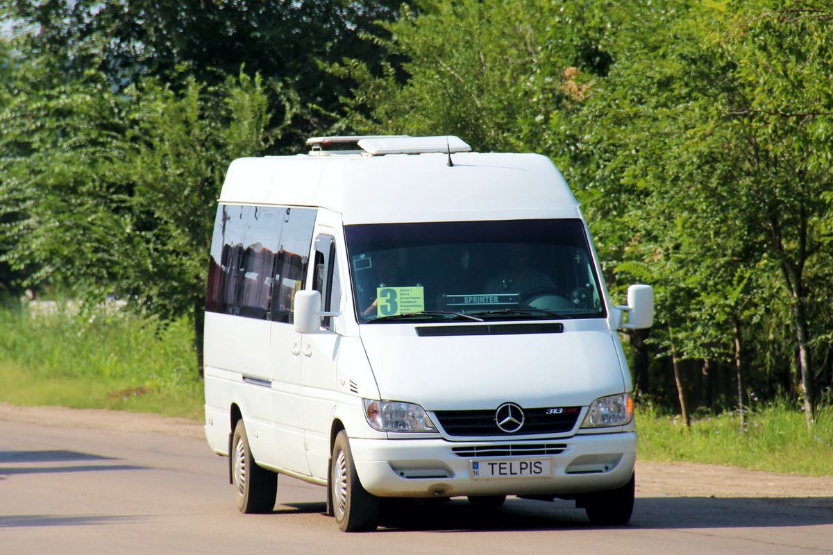 Одесская область, Mercedes-Benz Sprinter W903 313CDI № TELPIS