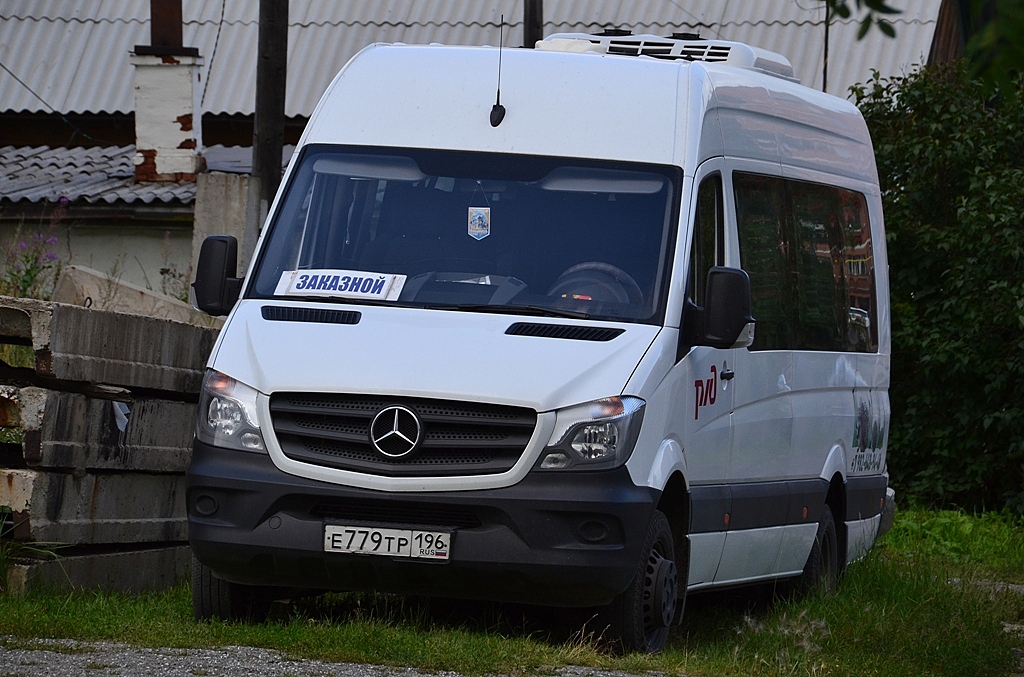 Свердловская область, Луидор-223602 (MB Sprinter) № Е 779 ТР 196