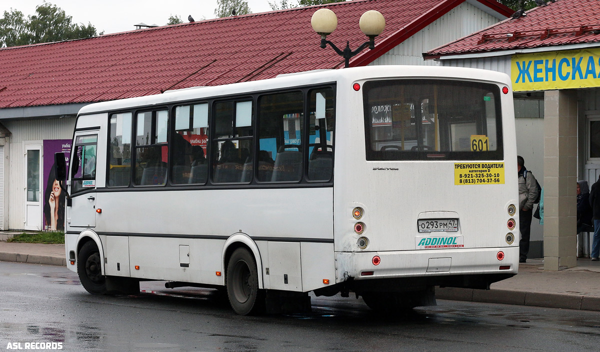 Ленинградская область, ПАЗ-320412-05 "Вектор" № О 293 РМ 47