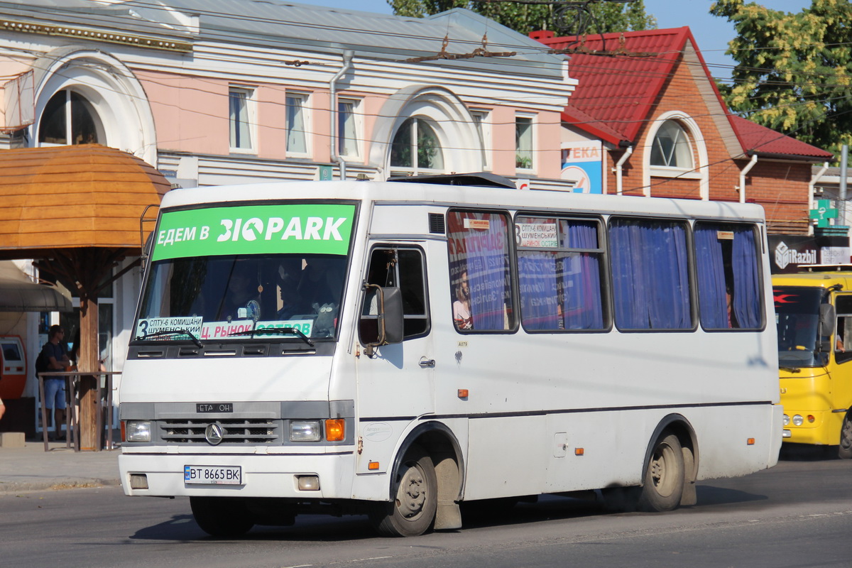 Херсонская область, БАЗ-А079.14 "Подснежник" № BT 8665 BK