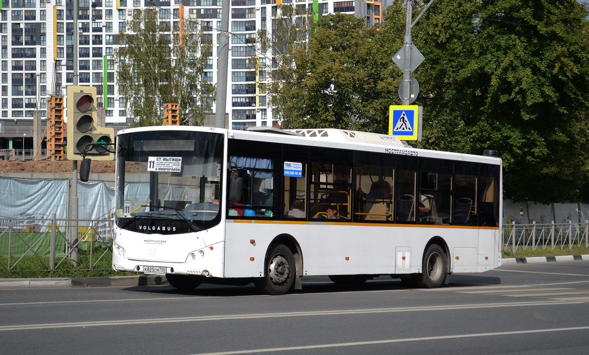 Maskavas reģionā, Volgabus-5270.0H № К 825 СМ 750