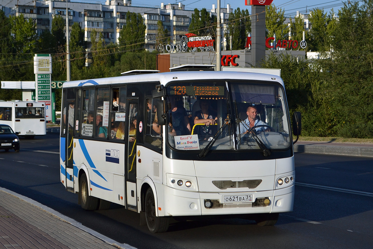 Белгородская область, ПАЗ-320412-05 "Вектор" № О 621 ВА 31