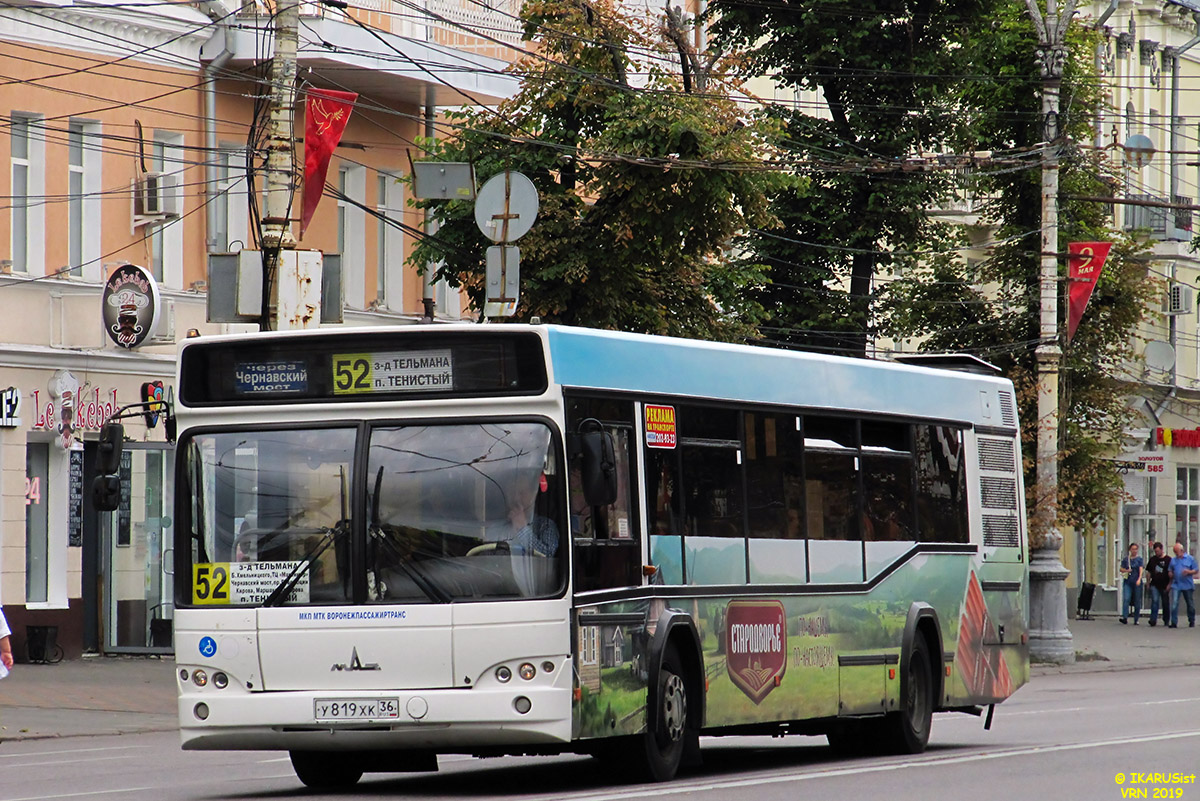 Воронежская область, МАЗ-103.469 № У 819 ХК 36