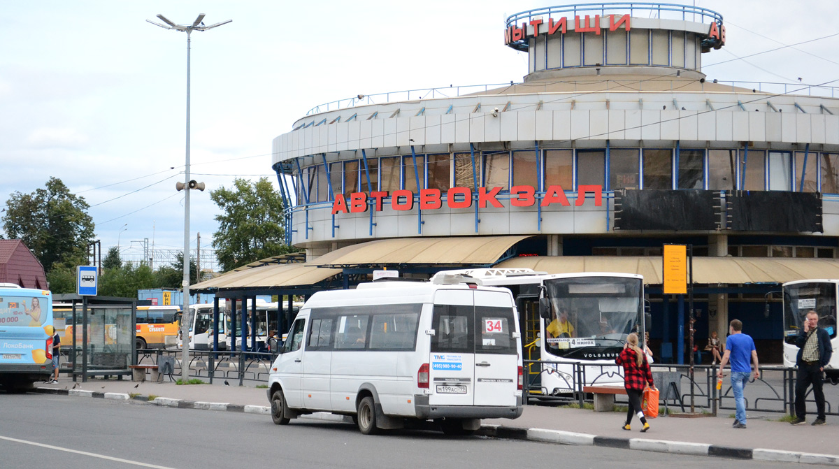 Московская область, Луидор-2232DP (MB Sprinter Classic) № М 199 АС 799