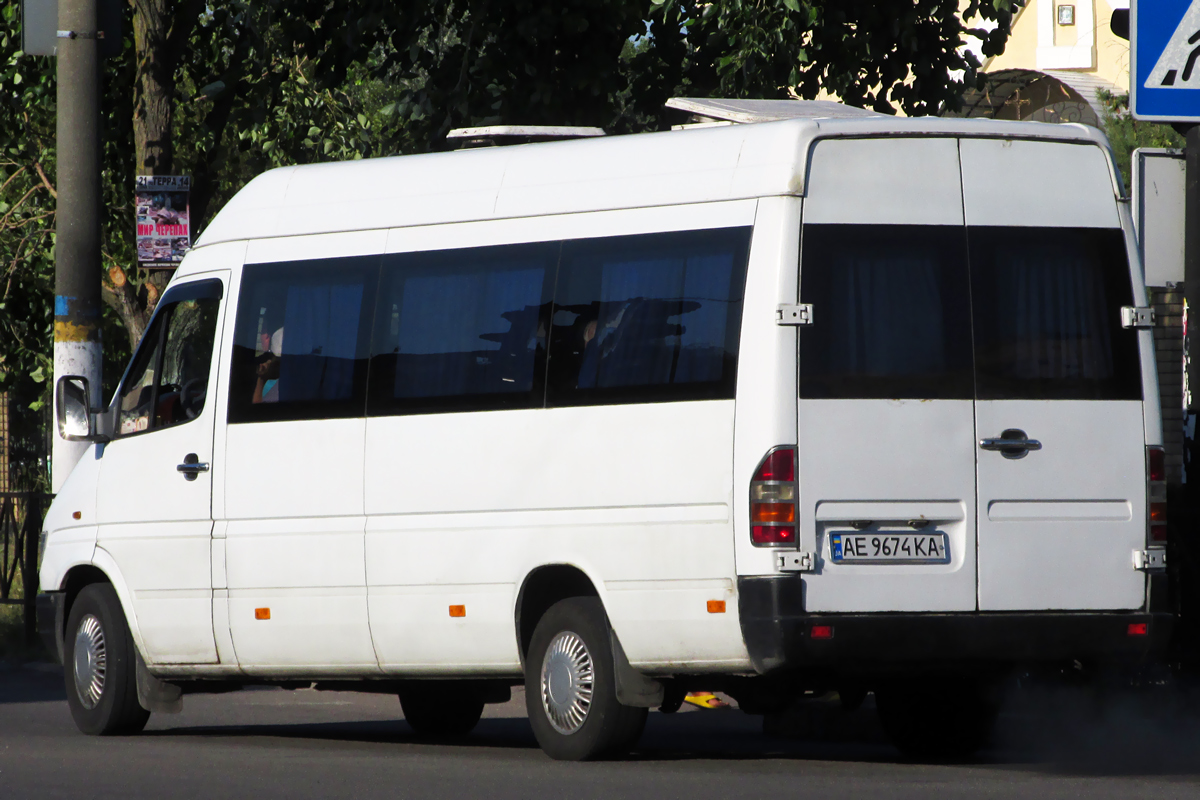 Днепропетровская область, Mercedes-Benz Sprinter W903 312D № AE 9674 KA