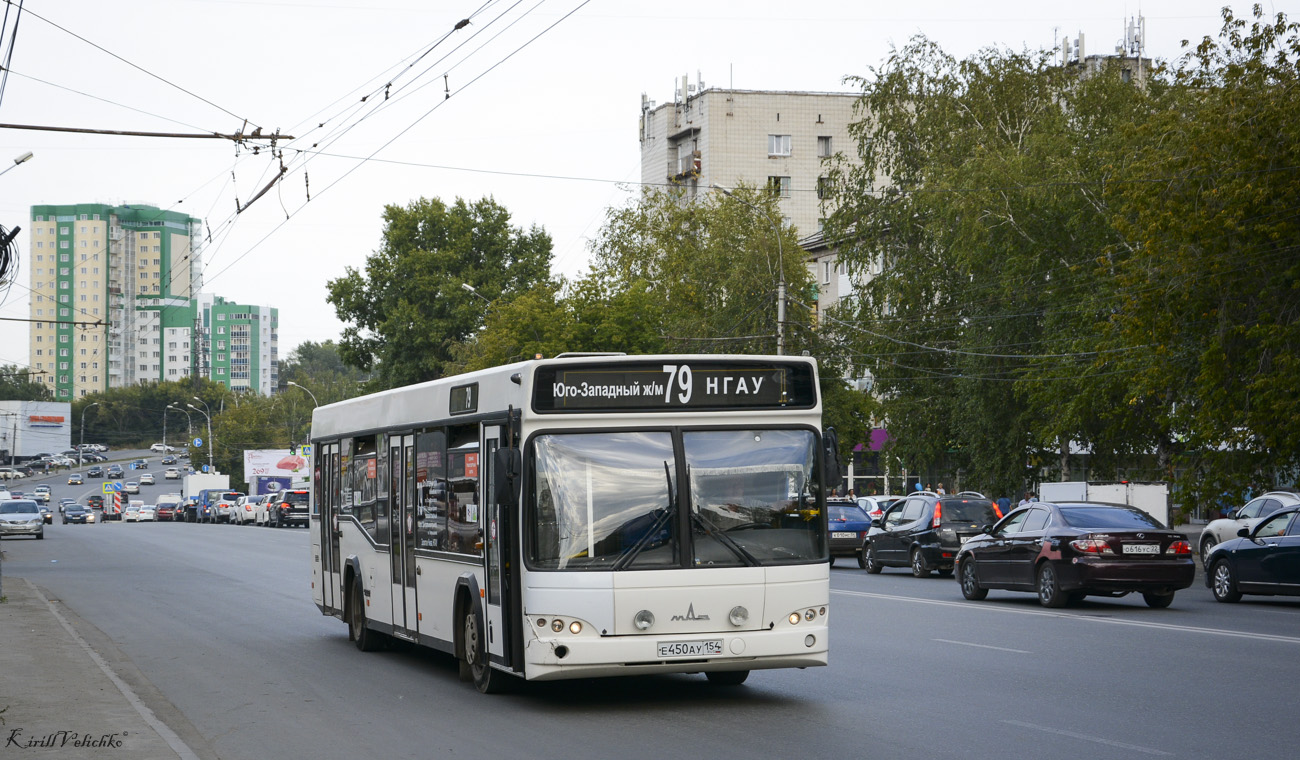 Новосибирская область, МАЗ-103.485 № Е 450 АУ 154