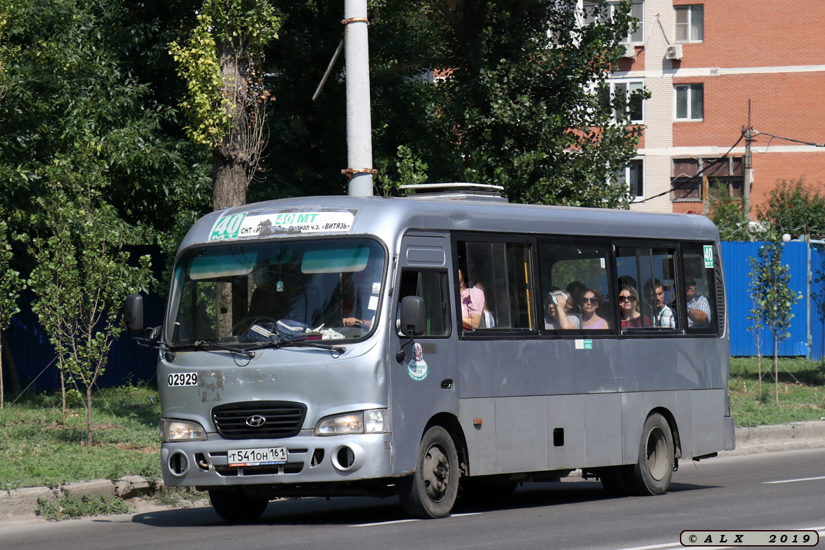 Ростовская область, Hyundai County LWB C09 (ТагАЗ) № 02929