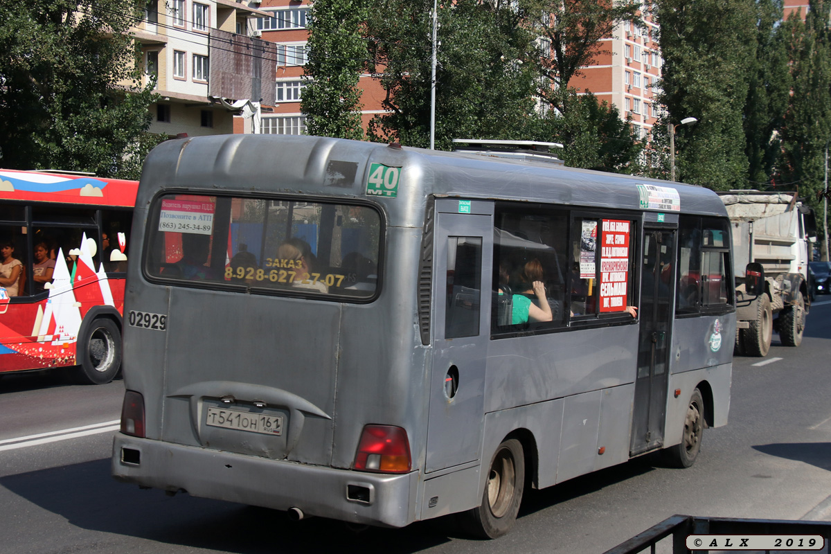 Ростовская область, Hyundai County LWB C09 (ТагАЗ) № 02929