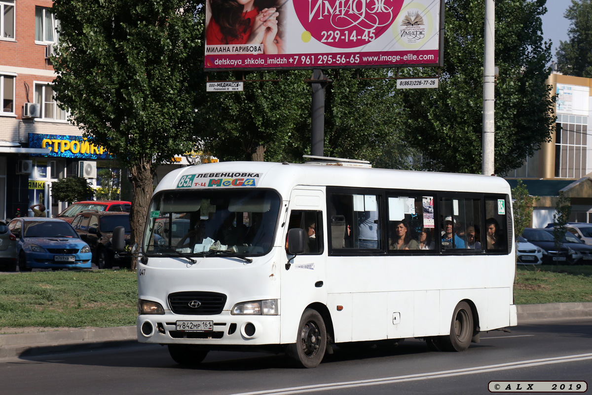 Ростовская область, Hyundai County LWB C09 (ТагАЗ) № 047