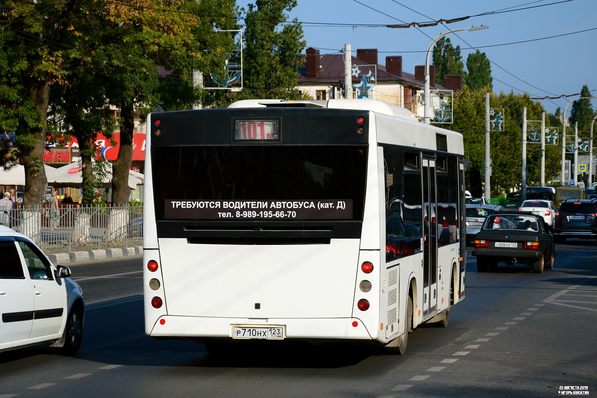 Kraj Krasnodarski, MAZ-226.063 Nr Р 710 НХ 123