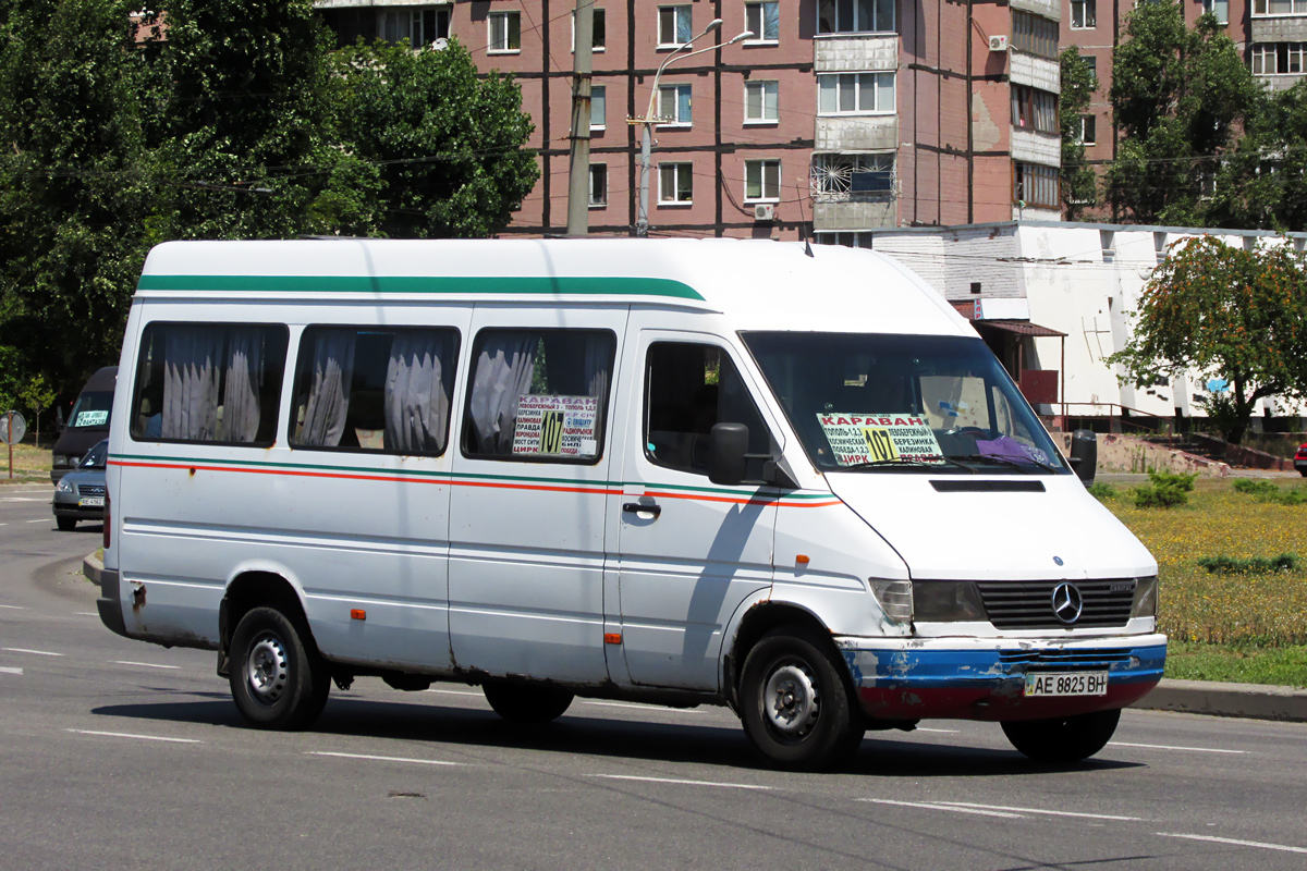 Днепропетровская область, Mercedes-Benz Sprinter W903 312D № AE 8825 BH