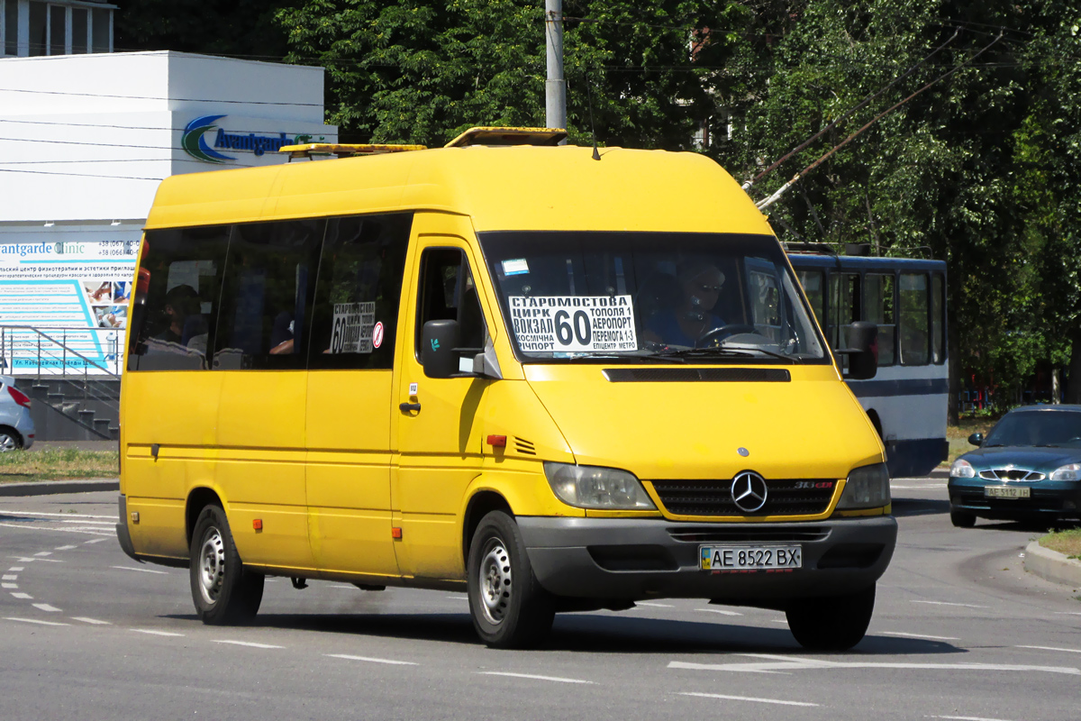 Днепропетровская область, Mercedes-Benz Sprinter W903 313CDI № AE 8522 BX