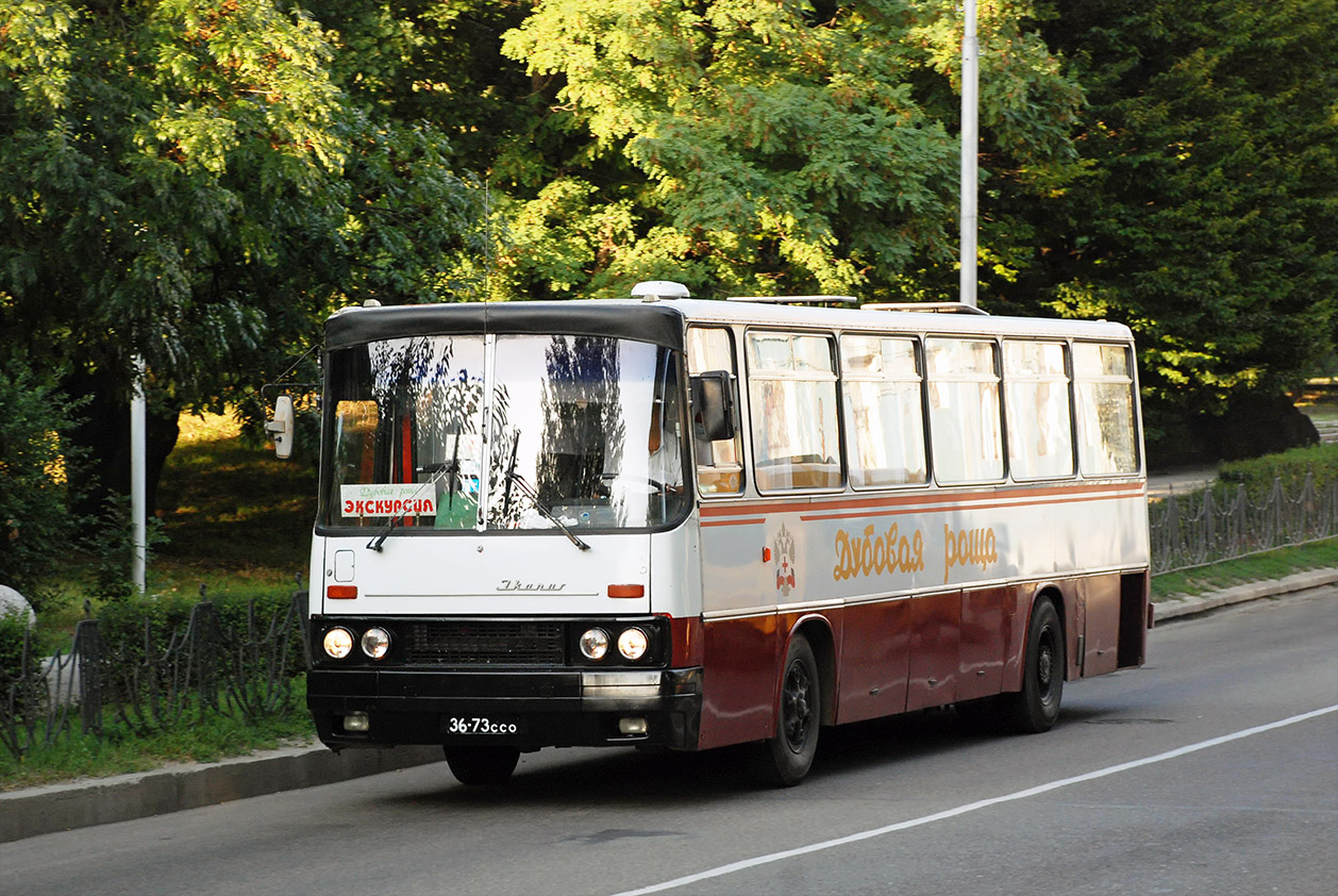 Ставропольский край, Ikarus 256.54 № 36-73 ССО