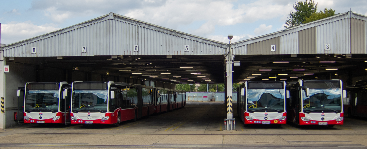 Австрия, Mercedes-Benz Citaro C2 G № 8701