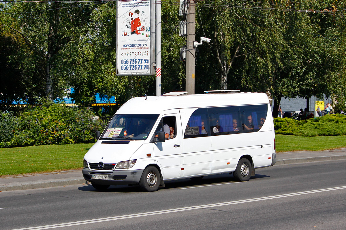 Dnipropetrovská oblast, Mercedes-Benz Sprinter W903 313CDI č. AE 0550 AK