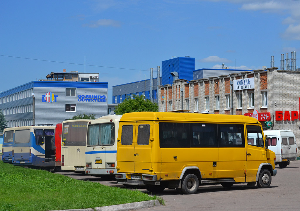 Львовская область, Mercedes-Benz Vario 612D № BC 4984 HE; Львовская область — Разные фотографии