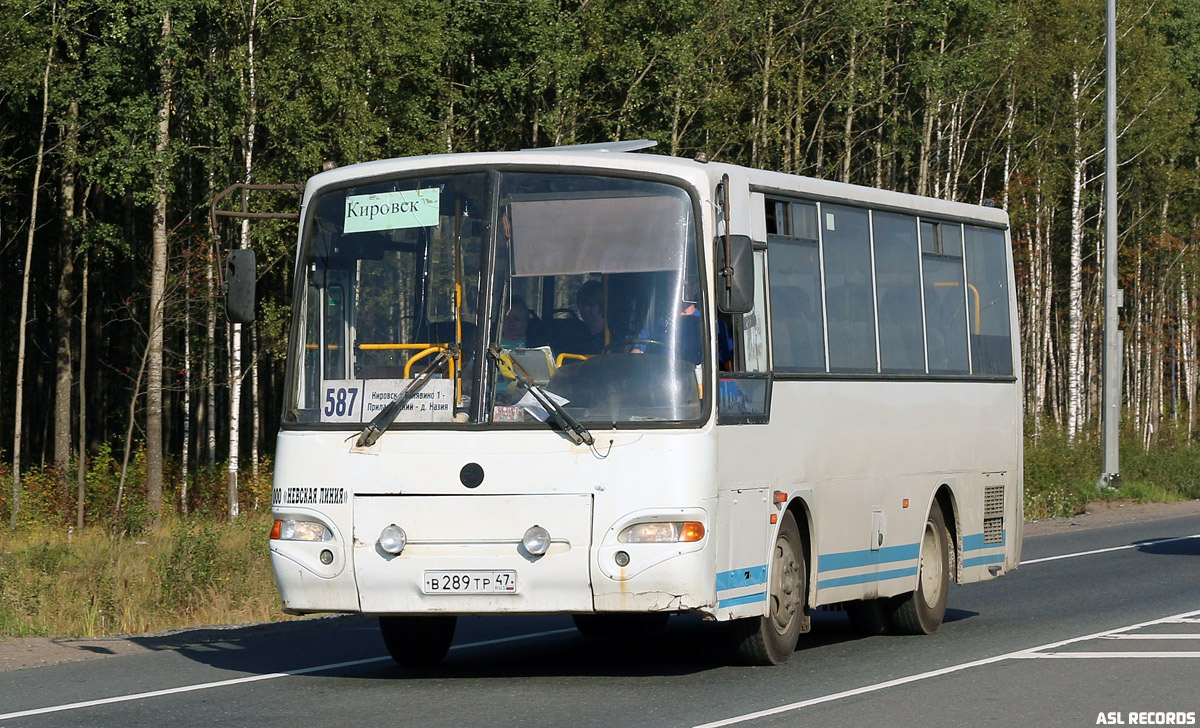 Ленинградская область, КАвЗ-4235-31 (2-2) № В 289 ТР 47 — Фото — Автобусный  транспорт