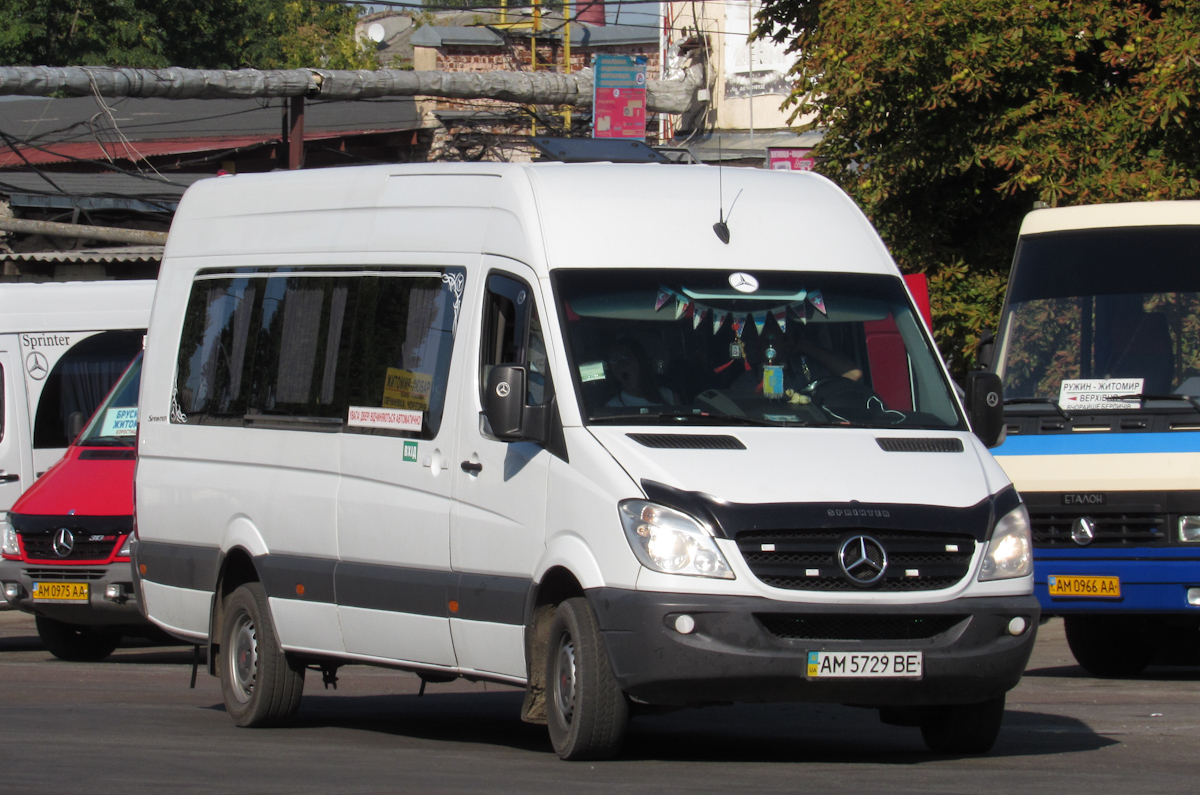 Житомирская область, Mercedes-Benz Sprinter W906 316CDI № AM 5729 BE