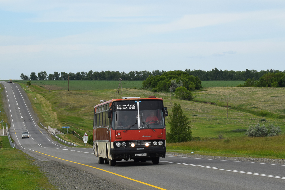 Алтайский край, Ikarus 256.74 № В 973 УХ 22