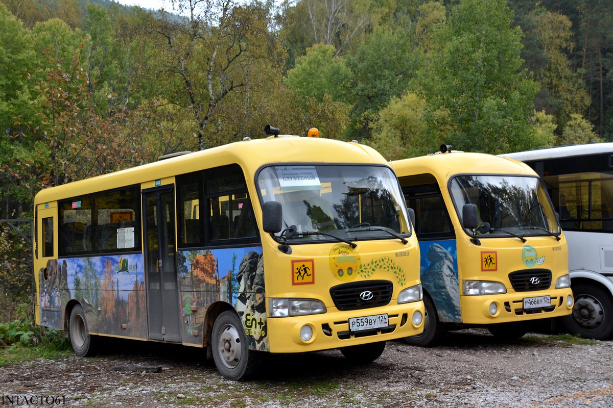 Красноярский край, Hyundai County LWB C12 (ТагАЗ) № Р 559 ВУ 124