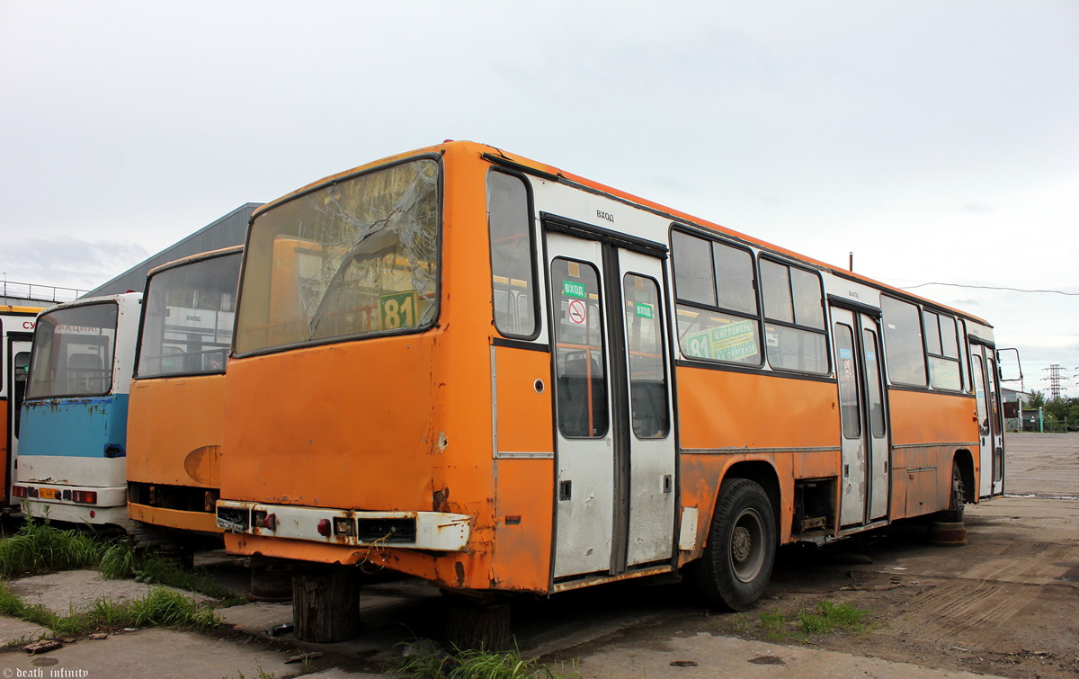 Архангельская область, Ikarus 263.10 № АА 701 29