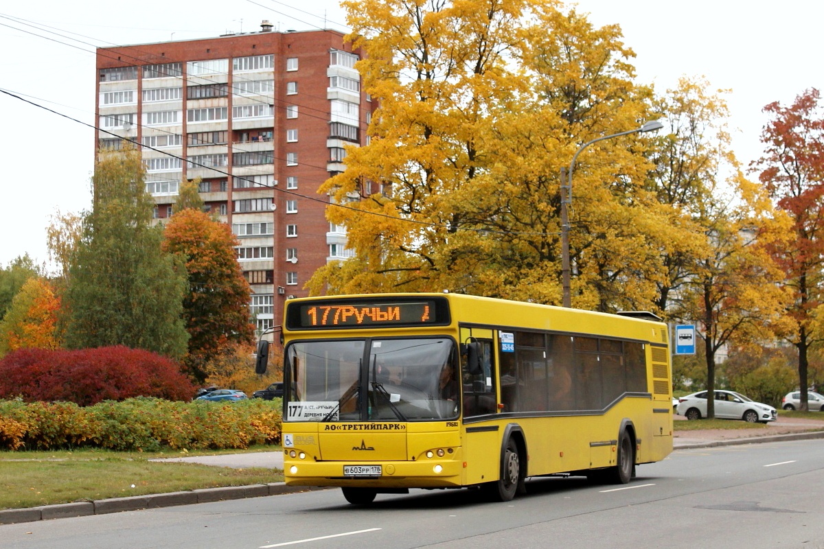 Санкт-Петербург, МАЗ-103.485 № В 603 РР 178