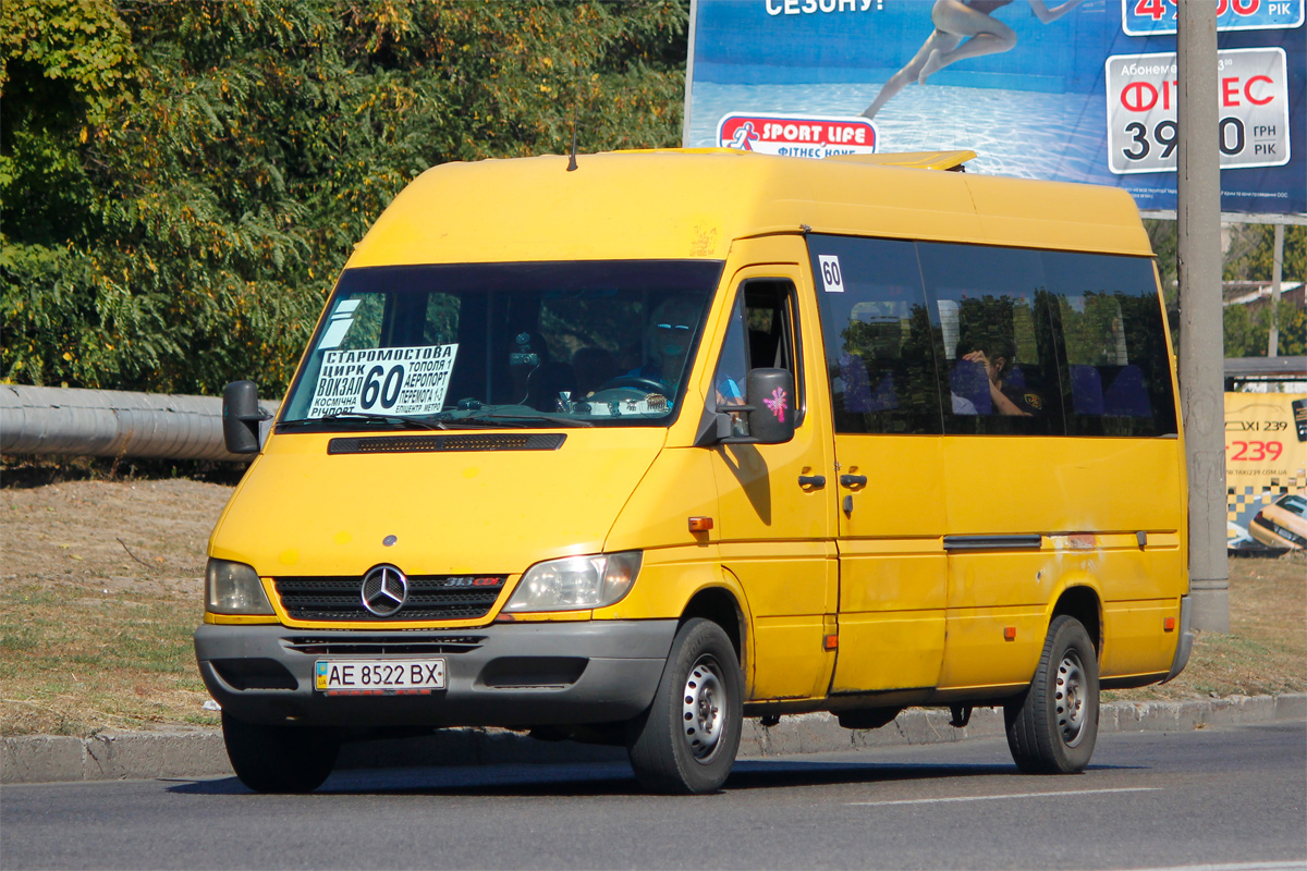 Днепропетровская область, Mercedes-Benz Sprinter W903 313CDI № AE 8522 BX