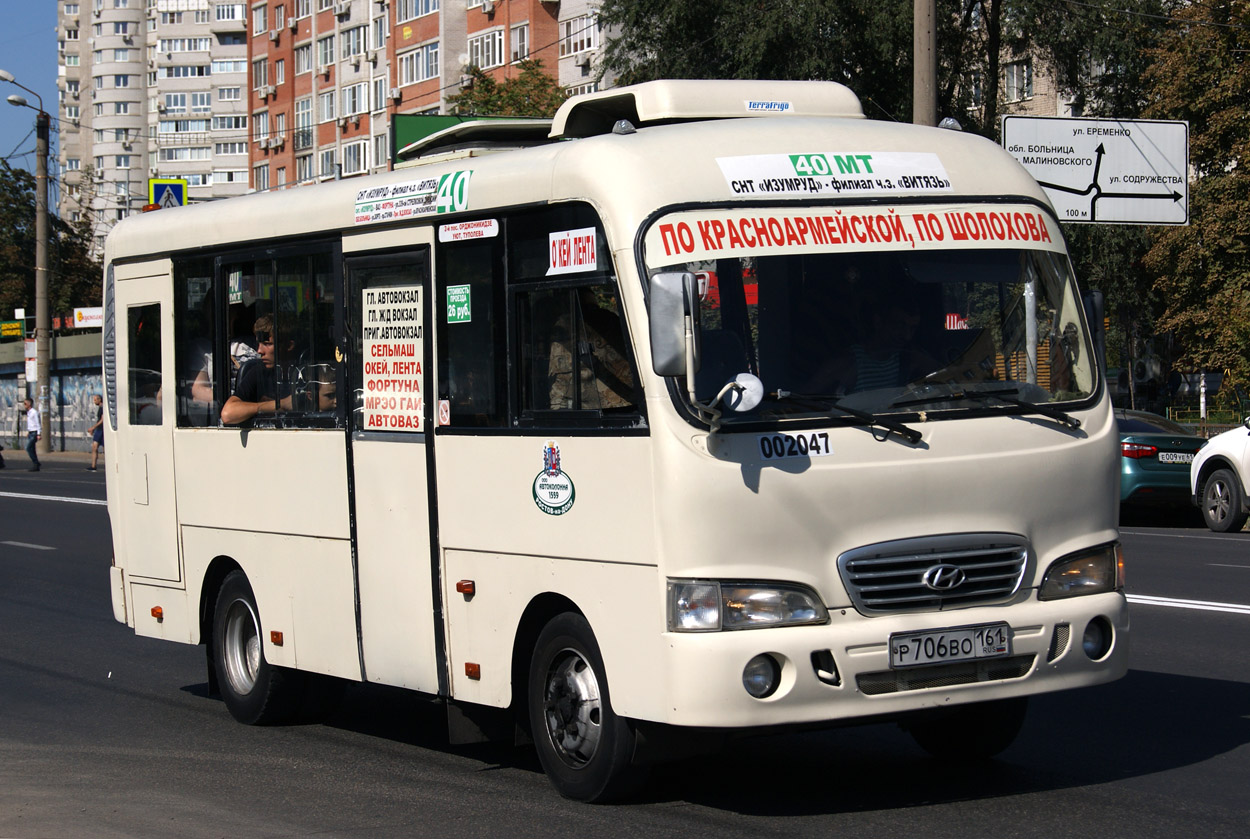 Ростовская область, Hyundai County SWB C08 (РЗГА) № 02047